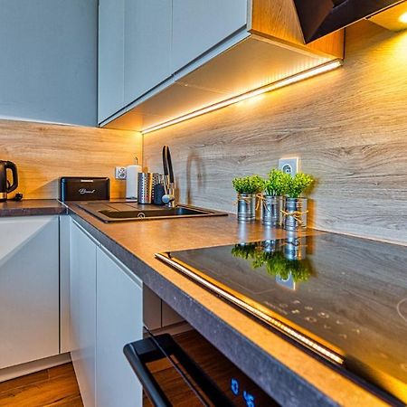 Apartament Pod Stogiem Izerskim - 5D Apartamenty Świeradów-Zdrój Exteriér fotografie